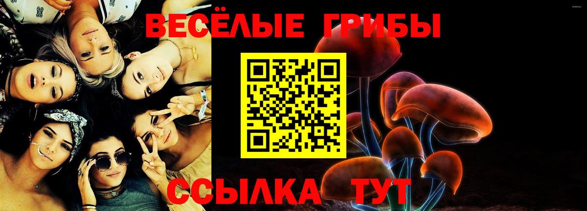 Псилоцибиновые грибы ЛСД  Вход с VPN  Кировск 